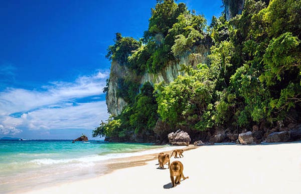 monkey-beach-phi-phi-sp-utazas